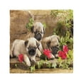 thumbnail image 1 of Pug Head Scarf, Sibling Puppies Flowers, Head Wrap, 3 Sizes, by Ambesonne, 1 of 2