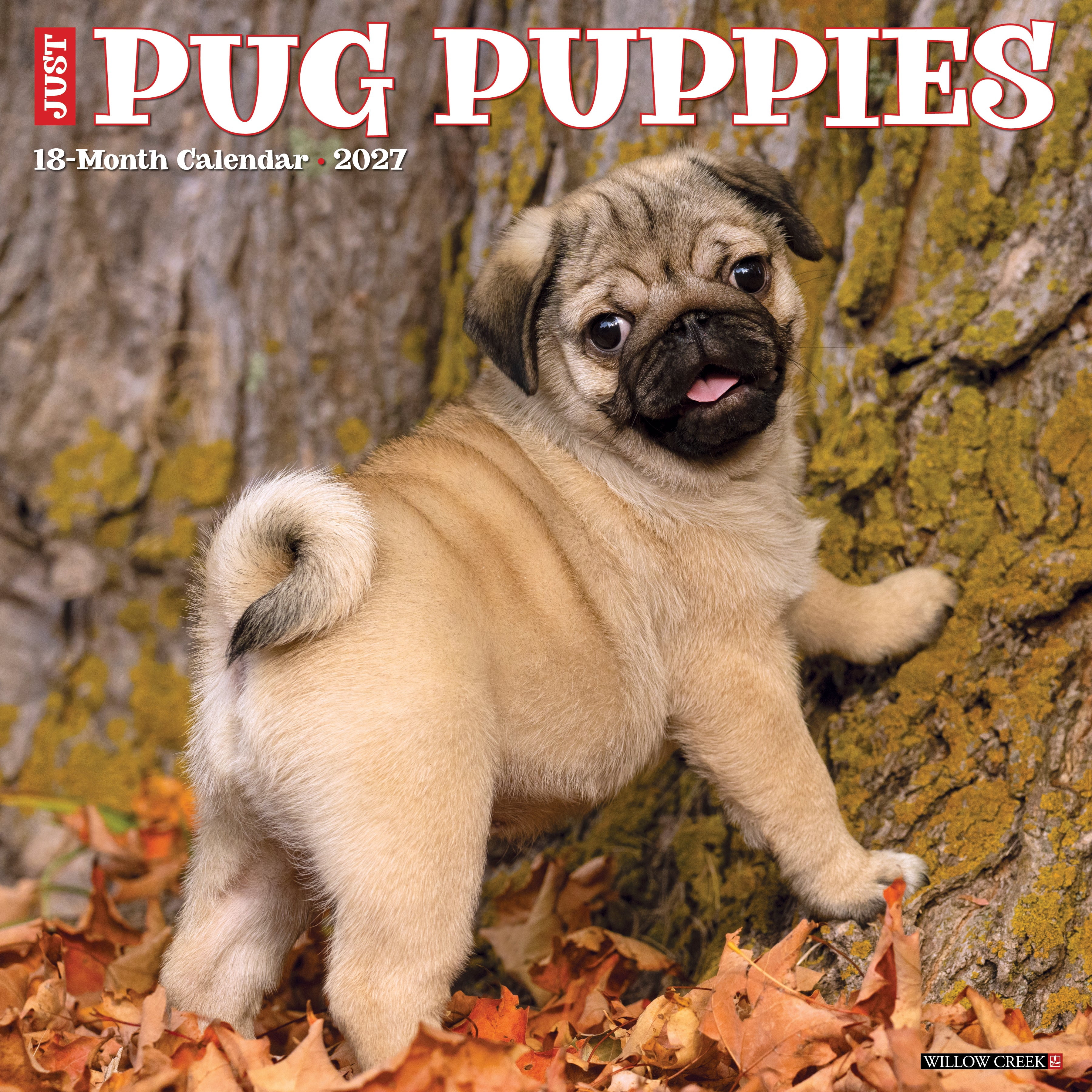 Willow Creek Press, Pug Puppies 2027 Wall Calendar