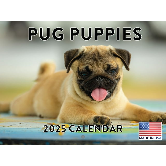 Pug Puppies Calendar 2025 Pug Puppy Monthly Wall Calender 12 Month