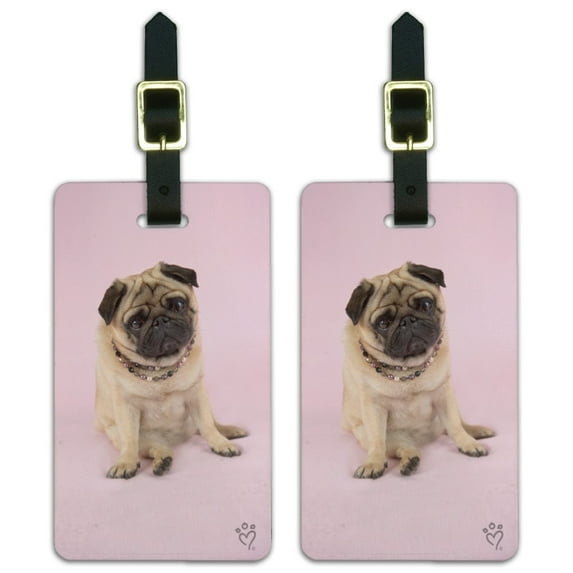 Pug Puppy Dog Sitting Pink Necklace Luggage ID Tags Suitcase Carry-On Cards - Set of 2