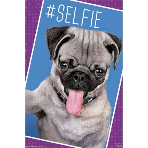 Pug - Selfie Poster Print (24 x 36)