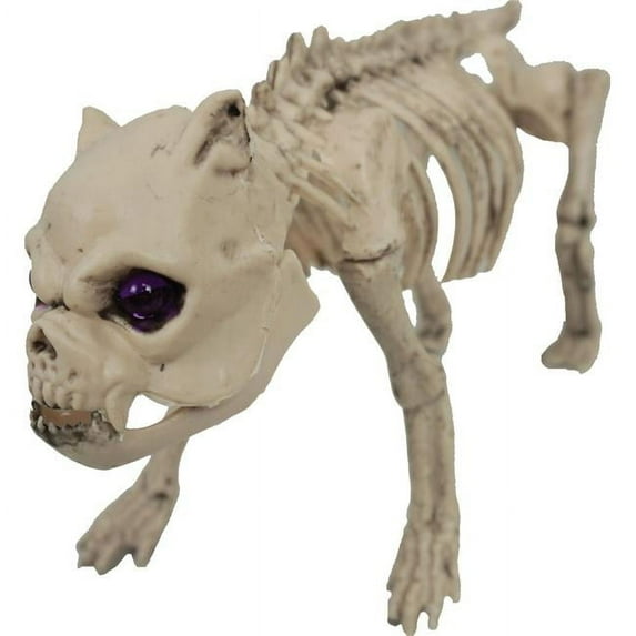 Pug Skeleton Prop