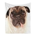thumbnail image 1 of Pug Soft Flannel Fleece Blanket, Portrait of an Upset Dog with Its Tongue out Pug with Giant Sad Eyes Pet Animal Photo Print, Cozy Plush for Indoor and Outdoor Use, 60" x 80", Brown, by Ambesonne, 1 of 5