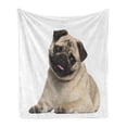 thumbnail image 1 of Pug Soft Flannel Fleece Throw Blanket, 9 Months Old Pug Puppy Lying Around Pet Funny Animal Domestication Print, Cozy Plush for Indoor and Outdoor Use, 60" x 80", Pale Brown Black, by Ambesonne, 1 of 5