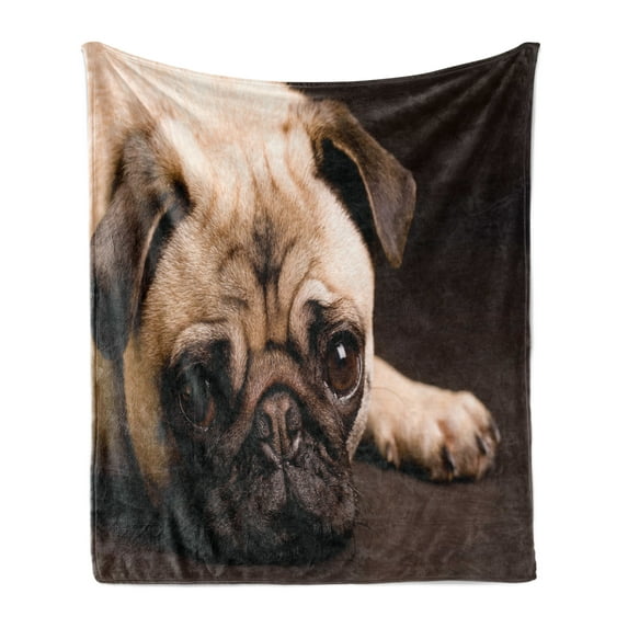 Pug Soft Flannel Fleece Throw Blanket, Photograph of a Pet Its Little Paws Pure Bred Dog Image Animal Fun, Cozy Plush for Indoor and Outdoor Use, 60" x 80", Brown Pale Brown, by Ambesonne