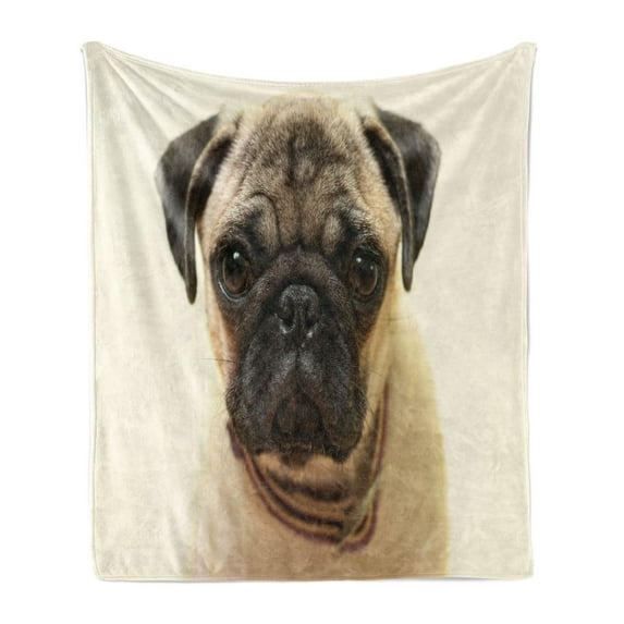 Pug Soft Flannel Fleece Throw Blanket, Photograph of a Pug Pure Bred Puppy with a Loose Collar Dog Pets Animal, Cozy Plush for Indoor and Outdoor Use, 50" x 60", Pale Brown Black, by Ambesonne