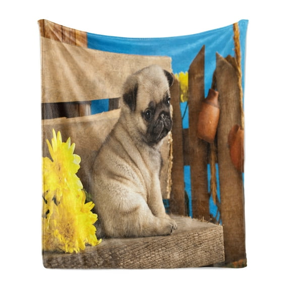 Pug Soft Flannel Fleece Throw Blanket, Puppy Photography with Sad Dog and Wildflowers on a Park Bench, Cozy Plush for Indoor and Outdoor Use, 50" x 60", Pale Brown Yellow Blue, by Ambesonne