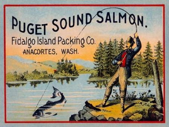 Puget Sound Salmon