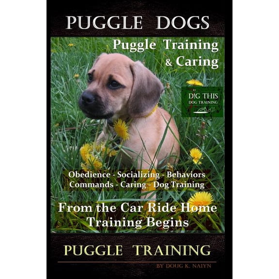 Puggle Dogs, Puggle Training & Caring By D!G THIS DOG TRAINING Obedience - Socializing - Behaviors - Commands - Caring - Dog Training: From the Car Ri