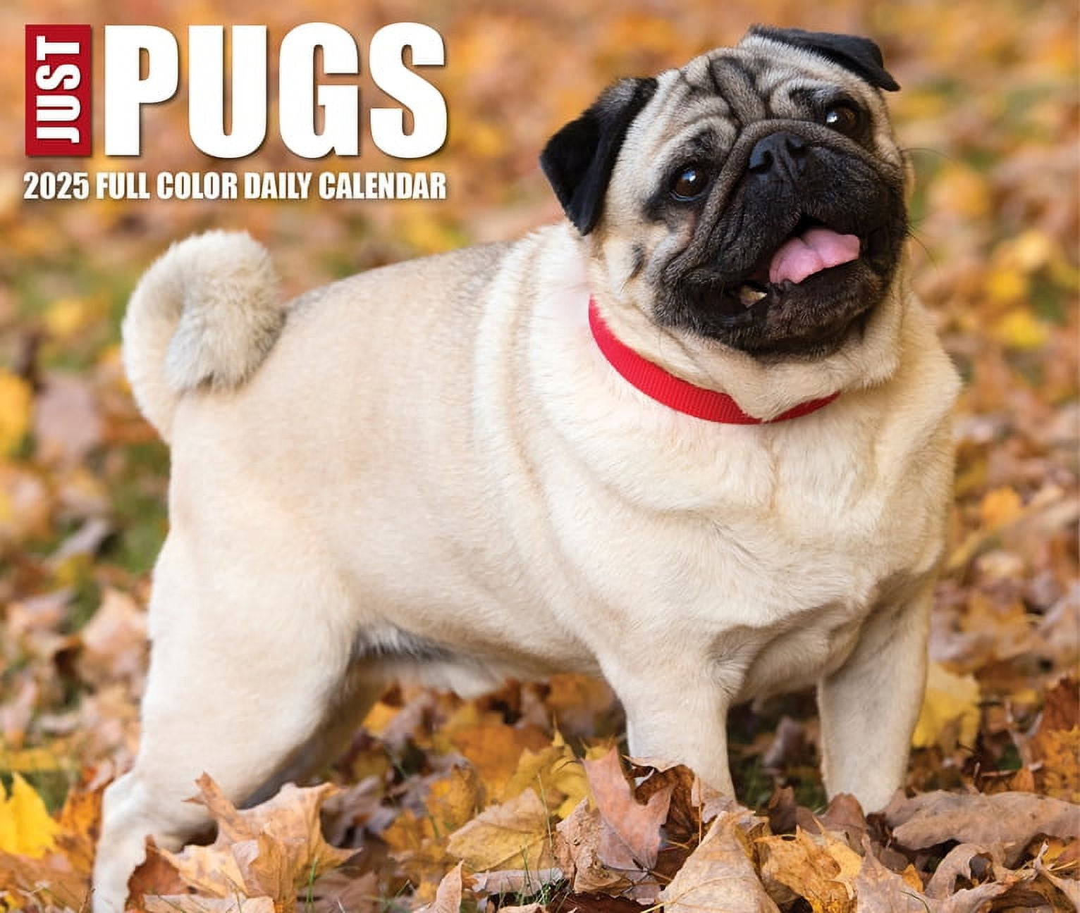 Pugs 2025 6.2 X 5.4 Box Calendar (Other)