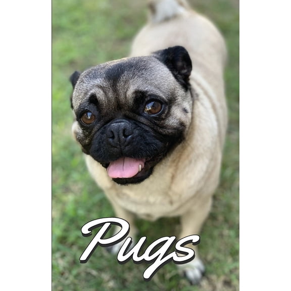 Pugs Photo Book for Writing and Note Taking: Writing Pad with Pug Pictures, Dog Lover Gifts, (Paperback)