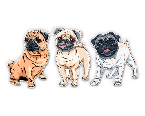 Pugs Set of 3 - 10" Each Vinyl Stickers Waterproof Decals