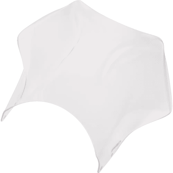 PUIG HI-TECH PARTS Raptor Windshield - Clear - Z900RS/SE 21348W