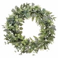 thumbnail image 1 of Puleo International 30 in. Artificial Eucalyptus Spring Wreath with Creeping Jenny Leaves, 1 of 5