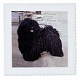 thumbnail image 1 of 3dRose, Puli, 12x12 inch quilt square, 1 of 1