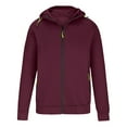 thumbnail image 1 of Puliio Mens Hoodies Long Sleeve Solid Color Hooded Sweater Coat With Zipper Pocket In Autumn Winter Sport Casual Hoody Pullover Tops, 1 of 3