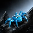 thumbnail image 1 of Pull Back Spider Car Toy, Animal Inspired Inertial Vehicle Model, Battery Free Racing Action Toy, Durable Crawling Motion Car, Interactive Play Vehicle For Indoor Outdoor Fun, 1 of 6