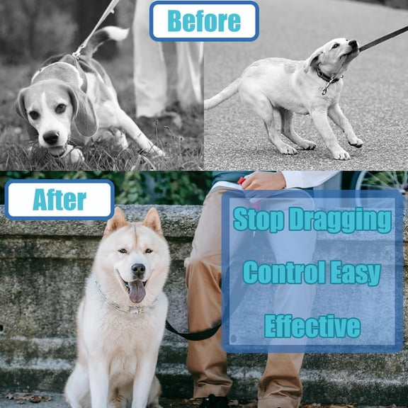 No Pull Dog Collar with Quick Release Buckle, Adjustable Fit for Small Medium Large Dogs, Includes Extra Links & Caps, Durable Training Collar for Better Control