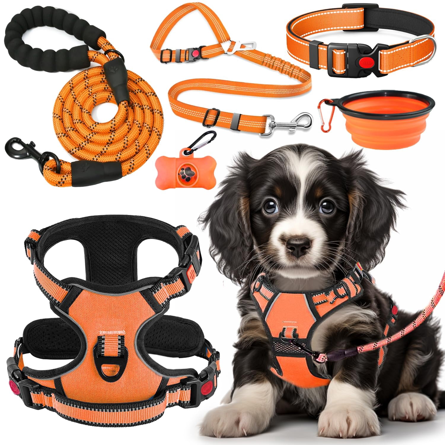 Small Orange No Pull Dog Harness and Accessory Set for Walking and Hiking