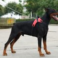 thumbnail image 1 of No Pull Dog Harness, Front Clip Harness Dog, Heavy Duty Reflective Adjustable Dog Walking Harness, Red Pet Vest Harness for Small Medium Large Dogs, 1 Pack, 1 of 3
