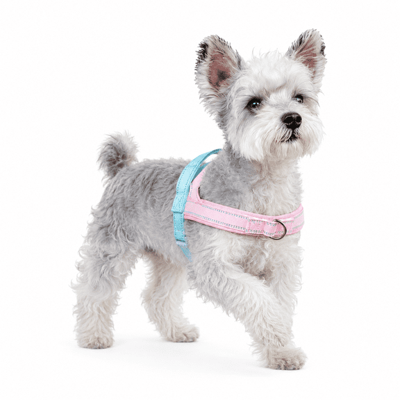 No Pull Dog Harness with Leash – Lightweight Breathable Reflective Pet Vest Harness for Small Medium Dogs, Adjustable No Choke Dog Harness for Walking
