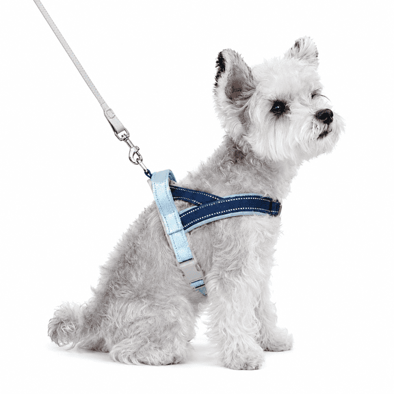 No Pull Dog Harness with Leash – Lightweight Breathable Reflective Pet Vest Harness for Small Medium Dogs, Adjustable No Choke Dog Harness for Walking