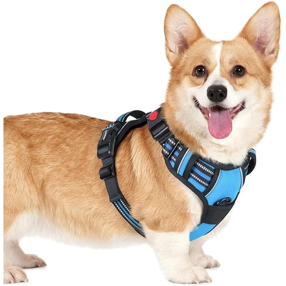 No Pull Dog Harness and Leash Set, Adjustable Escape Proof Pet Vest for Small to Extra Large Dogs, Heavy Duty Dog Leash with Reflective Straps, 5 Colors, S M L XL