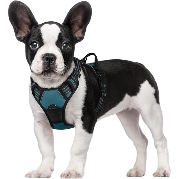 No Pull Dog Harness and Leash Set, Adjustable Escape Proof Pet Vest for Small to Extra Large Dogs, Heavy Duty Dog Leash with Reflective Straps, 5 Colors, S M L XL