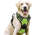 thumbnail image 1 of No Pull Dog Harness and Leash Set, Explosion-Proof Pet Vest with Adjustable Straps for Small to Extra Large Dogs, Reflective No-Tug Walking Harness, 5 Colors, S M L XL, 1 of 7