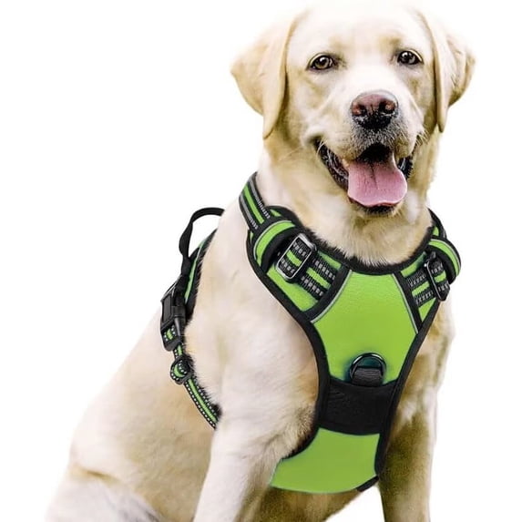 No Pull Dog Harness and Leash Set, Explosion-Proof Pet Vest with Adjustable Straps for Small to Extra Large Dogs, Reflective No-Tug Walking Harness, 5 Colors, S M L XL