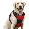 thumbnail image 1 of No Pull Dog Harness and Leash Set, Explosion-Proof Pet Vest with Adjustable Straps for Small to Extra Large Dogs, Reflective No-Tug Walking Harness, 5 Colors, S M L XL, 1 of 7