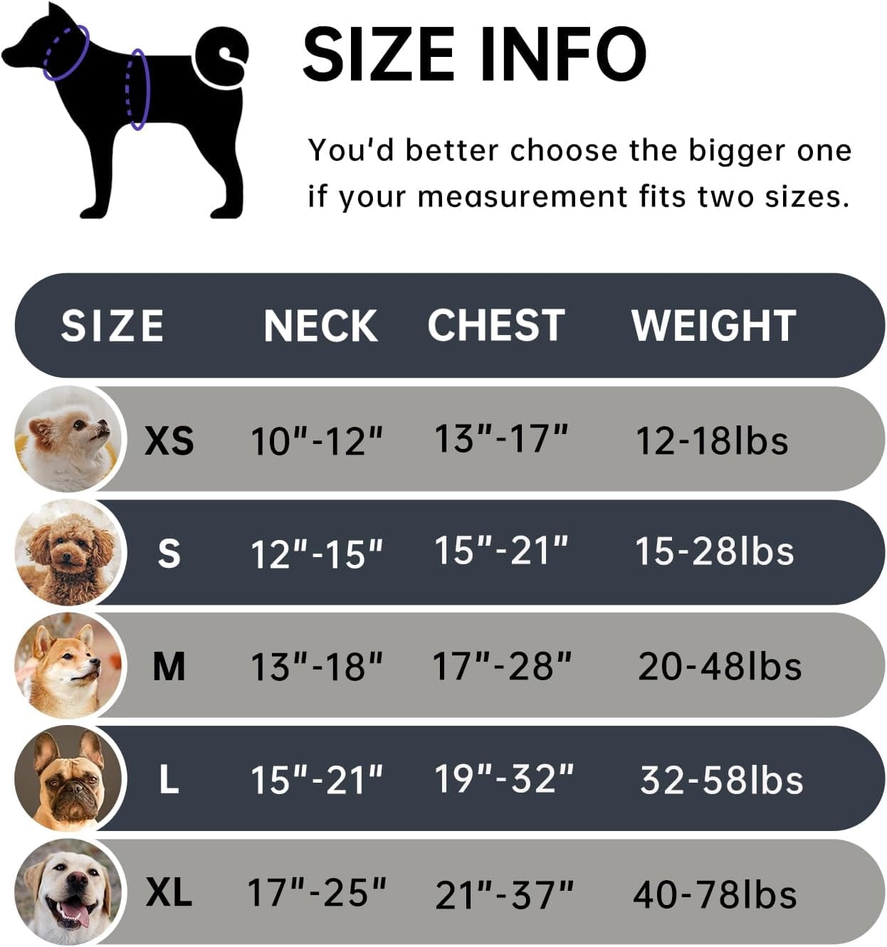 Photo inspiration: Fresh Look at No Pull Dog Harness With Leash Set Reflective No Choke