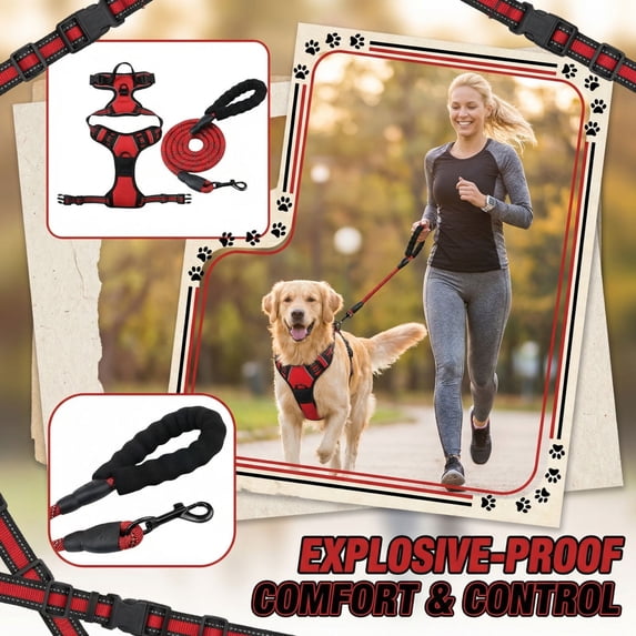 No Pull Dog Harness and Leash Set, Reflective Pet Walking Vest with Easy Control Handle, Adjustable Safety Chest Strap for Small Medium Large Dogs, Outdoor Training Supplies, M