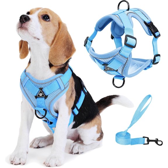 No Pull Dog Harness with Leash Set for Small Sized Dog, Reflective Adjustable Choke Front Clip Cat Vest Breathable Mesh, Comfortable Soft Padded Pet Vest, Blue S