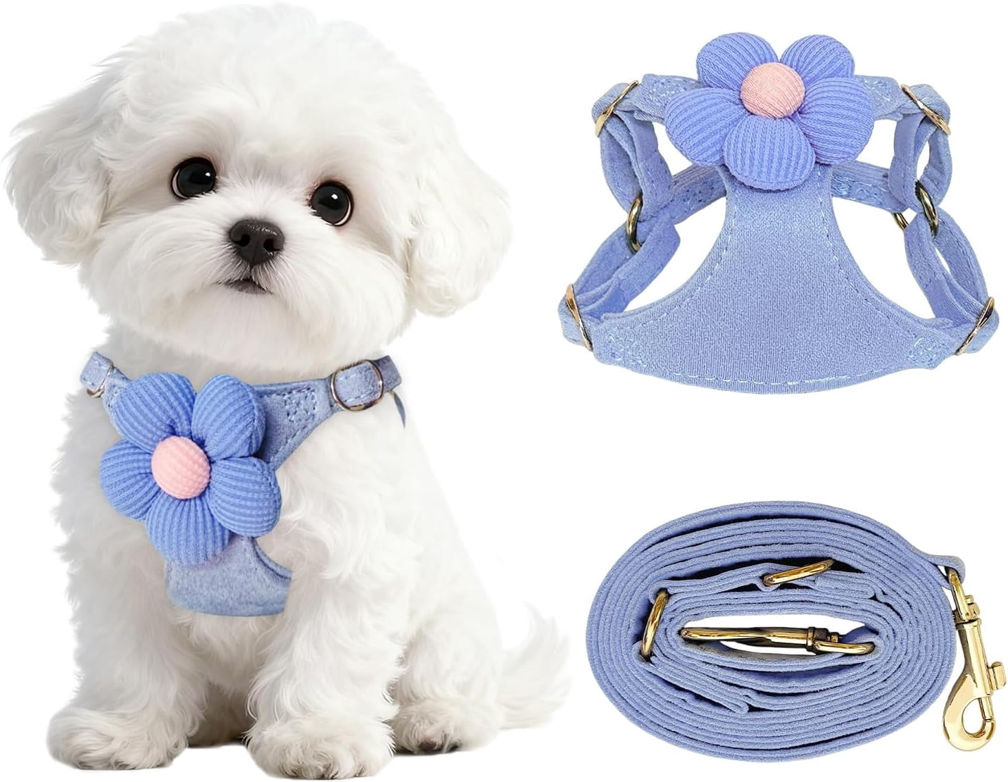 No Pull Dog Harness and Leash Set for Small Sized Dog Training; Puppy Harnesses with Multifunction Dog Leash, Soft Adjustable No Choke Escape Proof Pet Harness for Small and Medium Dog (Blue XXS)