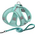 thumbnail image 1 of No Pull Dog Harness and Leash Set, Step in Adjustable Dog Harness with Padded Vest for All Weather, Dog Leash with Soft Padded Handle, Easy to Put on Small and Medium Dogs, 1 of 7