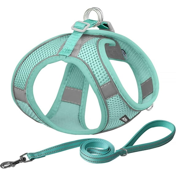 No Pull Dog Harness and Leash Set, Step in Adjustable Dog Harness with Padded Vest for All Weather, Dog Leash with Soft Padded Handle, Easy to Put on Small and Medium Dogs
