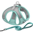 thumbnail image 1 of No Pull Dog Harness and Leash Set, Step in Adjustable Dog Harness with Padded Vest for All Weather, Dog Leash with Soft Padded Handle, Easy to Put on Small and Medium Dogs, 1 of 7