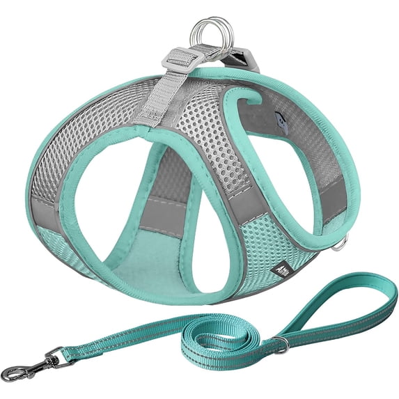 No Pull Dog Harness and Leash Set, Step in Adjustable Dog Harness with Padded Vest for All Weather, Dog Leash with Soft Padded Handle, Easy to Put on Small and Medium Dogs