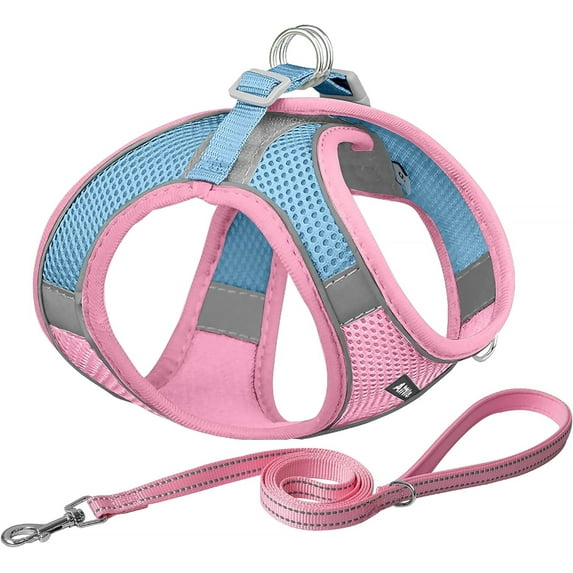 No Pull Dog Harness and Leash Set, Step in Adjustable Dog Harness with Padded Vest for All Weather, Dog Leash with Soft Padded Handle, Easy to Put on Small and Medium Dogs