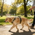 thumbnail image 1 of No Pull Dog Harness Reflective for Night Safety, Breathable Mesh with Dual Handles, Adjustable Medium Dog Vest for 28-45 Lbs, Comfortable Step-In Escape Proof Design, 1 of 6