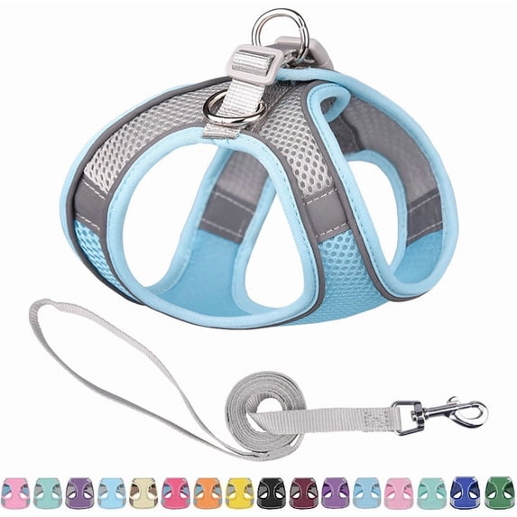 No Pull Dog Harness, Step in Adjustable Cat Harness and Leash Sets with Padded Vest for All Weather, Dog Leash with Soft Padded Handle, Easy to Put on Small and Medium Dogs (Blue & Gray, XXS)