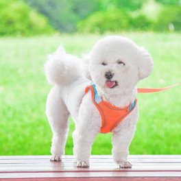 No Pull Dog Harness With Leash - Reflective, Adjustable, Step-in Vest For Small Medium Large Dogs