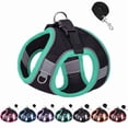 thumbnail image 1 of No Pull Dog Harness, Step in Adjustable Cat Harness with Padded Vest for All Weather and Leash Set with Soft Padded Handle, Easy to Put on Small and Medium Sized Dogs - Black/Green Trim, S, 1 of 7