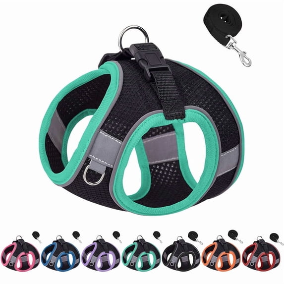 No Pull Dog Harness, Step in Adjustable Cat Harness with Padded Vest for All Weather and Leash Set with Soft Padded Handle, Easy to Put on Small and Medium Sized Dogs - Black/Green Trim, S
