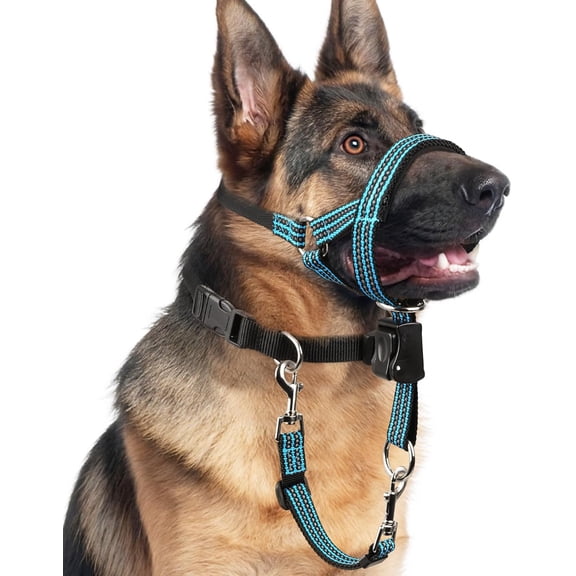 No Pull Dog Head Collar for Gentle Training Walking, Soft Padded Head Halter with Collar Safety Clip, Comfortable Fit Muzzle Leash with Reflective Strap for Medium Large Dog (Blue, L)