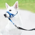 thumbnail image 1 of No Pull Dog Head Collar - Soft Padded Head Halter with Safety Link & Adjustable Muzzle Leash for Large Medium Dogs, Training Walking Solution for Heavy Pullers, 1 of 8