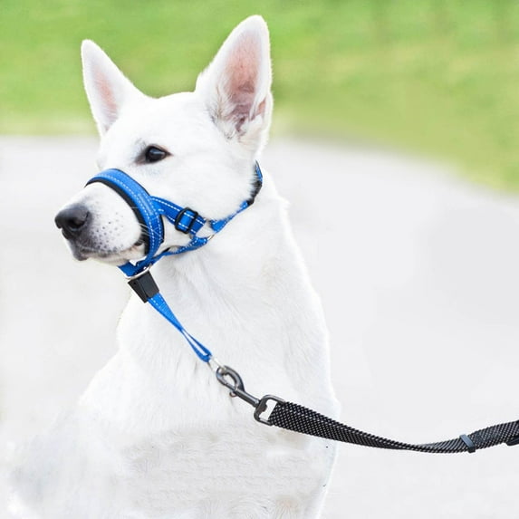 No Pull Dog Head Collar - Soft Padded Head Halter with Safety Link & Adjustable Muzzle Leash for Large Medium Dogs, Training Walking Solution for Heavy Pullers