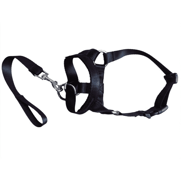 No Pull Dog Nose Leash, Ensuring Safe and Comfortable Walks for Your Furry Friend with Neoprene Padding, Soft Padded Halter for Adjustable Comfort and Anti-Pulling Training