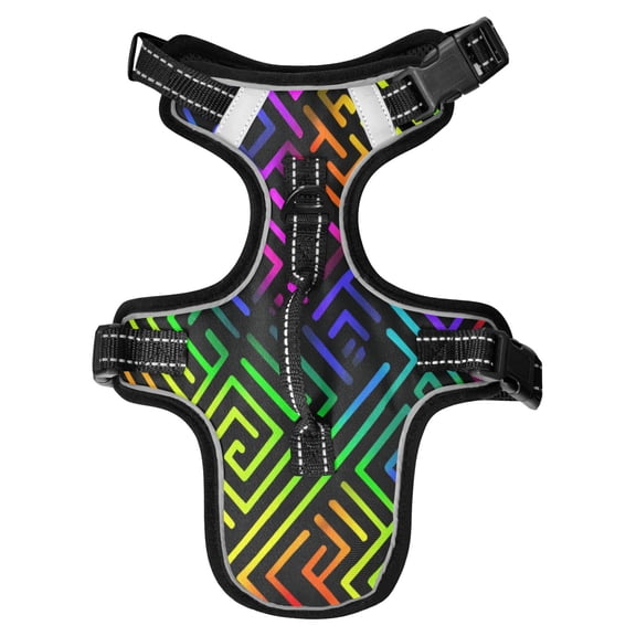 No Pull Dog Vest Harnesses and Escape Proof Cat Harnesses with Leash Set Reflective Adjustable Breathable Soft Padded Pet Vest for Small Medium Dogs Cats Rainbow Neon Labyrinth Print